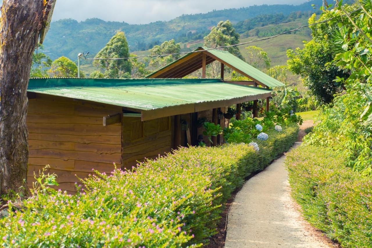 Ecolodge Rain Pedregoso Exterior photo